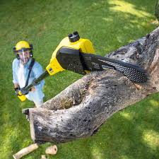 Landscape Design and Installation in Imperial, PA